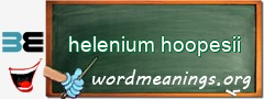 WordMeaning blackboard for helenium hoopesii